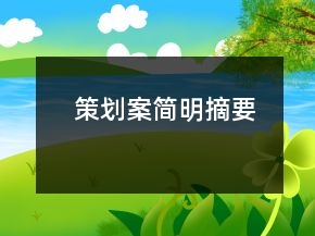 策划案简明摘要
