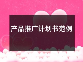 产品推广计划书范例