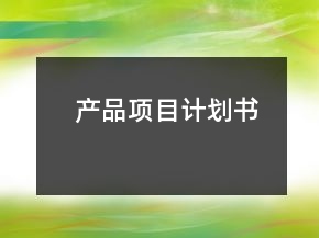 产品项目计划书