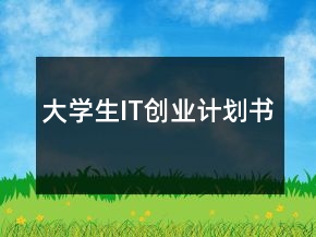 大学生IT创业计划书
