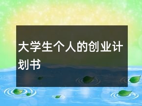 大学生个人的创业计划书