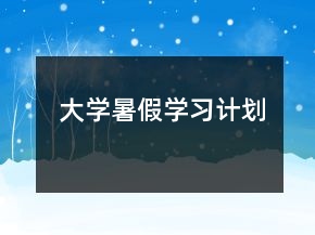 大学暑假学习计划