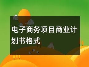 电子商务项目商业计划书格式