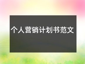 个人营销计划书范文