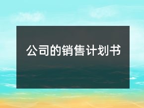 公司的销售计划书