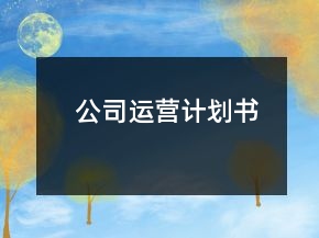 公司运营计划书