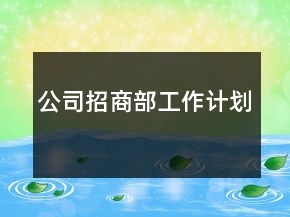 公司招商部工作计划
