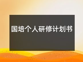 国培个人研修计划书