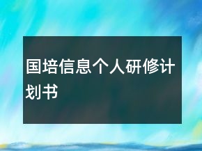 国培信息个人研修计划书
