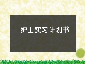 护士实习计划书