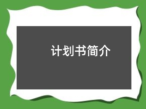 计划书简介