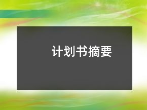 计划书摘要