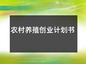 农村养殖创业计划书