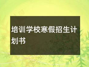 培训学校寒假招生计划书