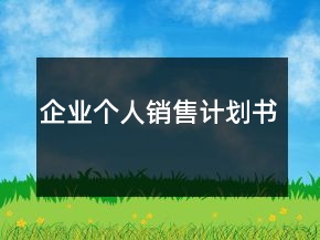 企业个人销售计划书