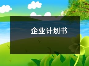 企业计划书
