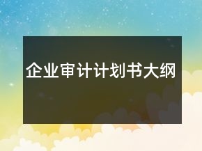 企业审计计划书大纲