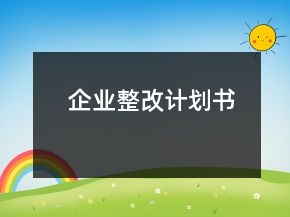 企业整改计划书