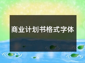 商业计划书格式字体