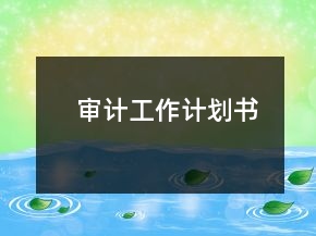 审计工作计划书