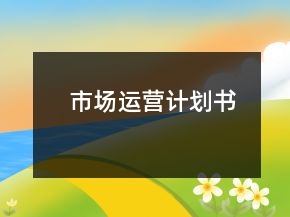 市场运营计划书