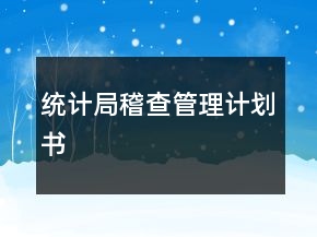 统计局稽查管理计划书