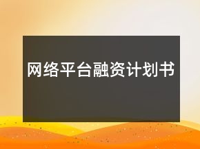 网络平台融资计划书