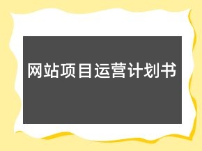 网站项目运营计划书