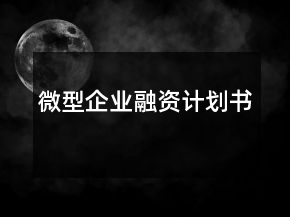 微型企业融资计划书