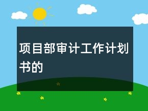 项目部审计工作计划书的