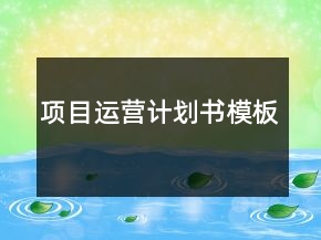 项目运营计划书模板