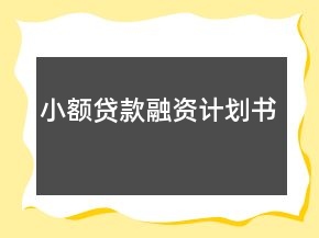 小额贷款融资计划书