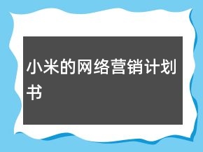 小米的网络营销计划书