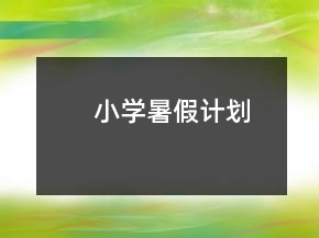 小学暑假计划