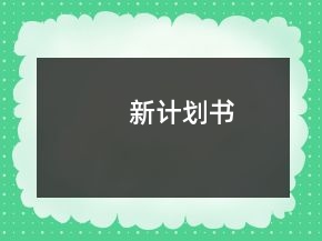 新计划书