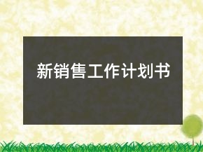 新销售工作计划书