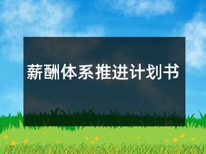 薪酬体系推进计划书