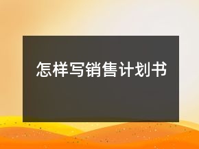 怎样写销售计划书