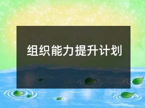 组织能力提升计划