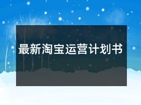 最新淘宝运营计划书
