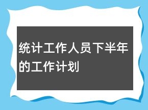 统计工作人员下半年的工作计划