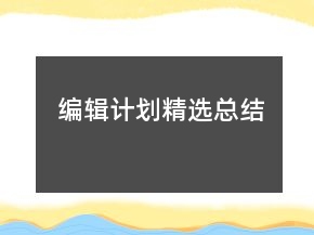 编辑计划精选总结