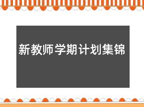 新教师学期计划集锦