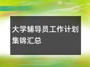 大学辅导员工作计划集锦汇总