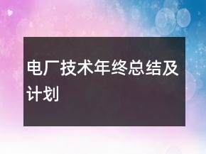 电厂技术年终总结及计划