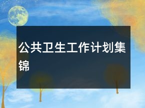 公共卫生工作计划集锦