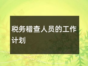 税务稽查人员的工作计划