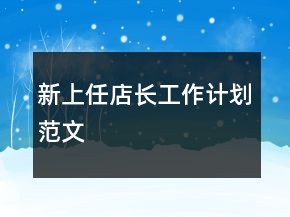 新上任店长工作计划范文