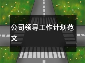 公司领导工作计划范文