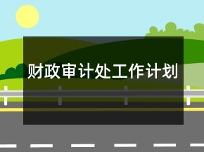 财政审计处工作计划